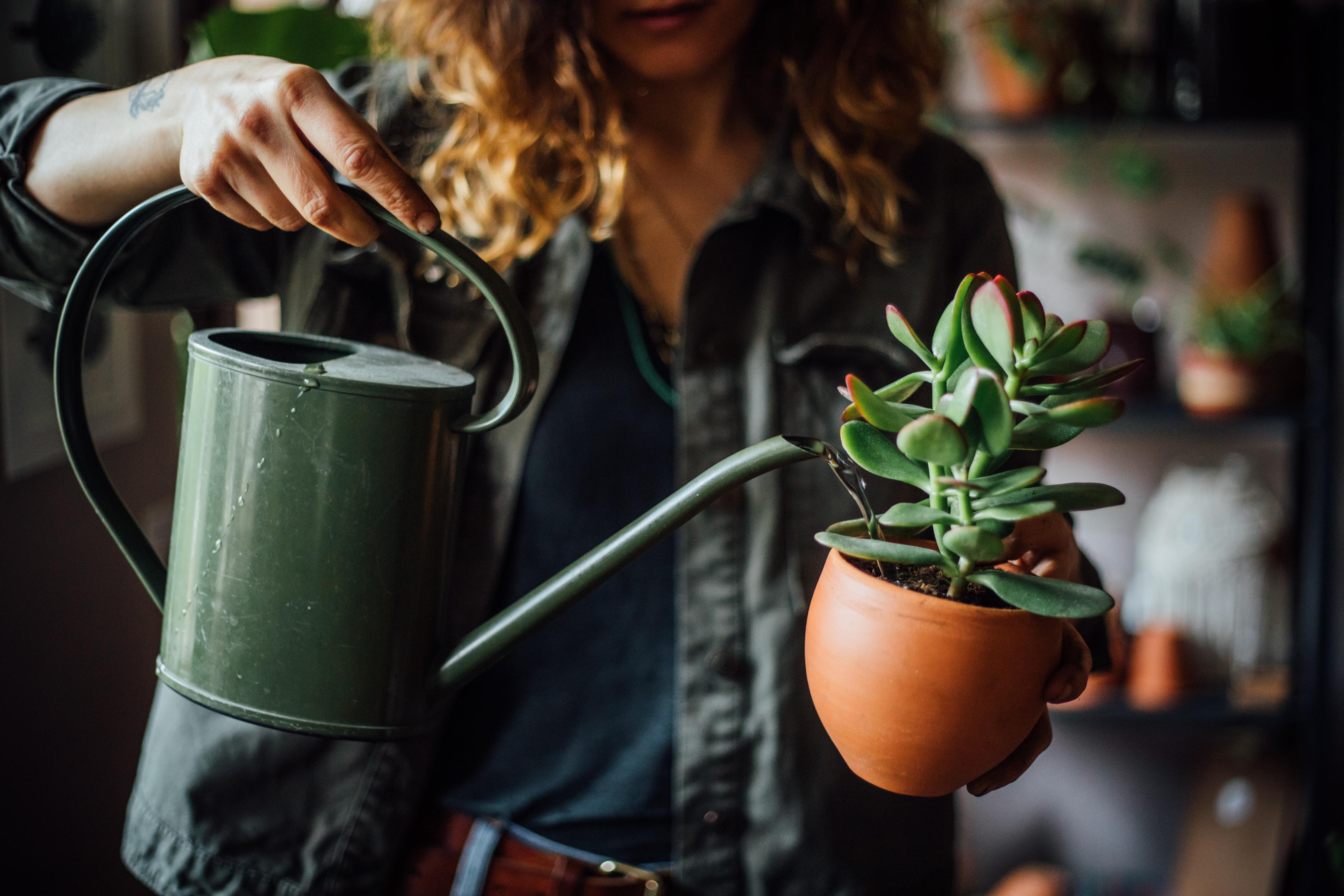 gardening