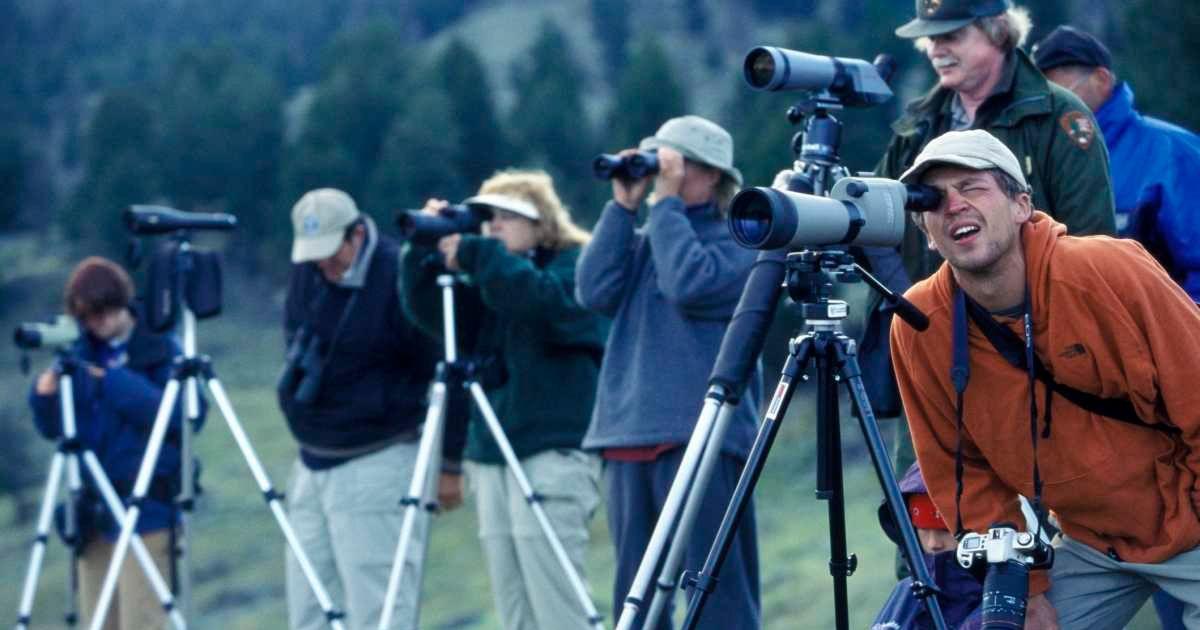 People gathered at a national park with their cameras and tripods for wildlife watching (Representative Cover Image Source: Getty Images | James Leynse)