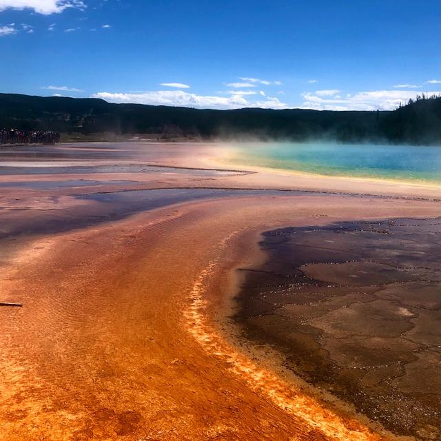 Can You Swim in Yellowstone's Grand Prismatic Spring?