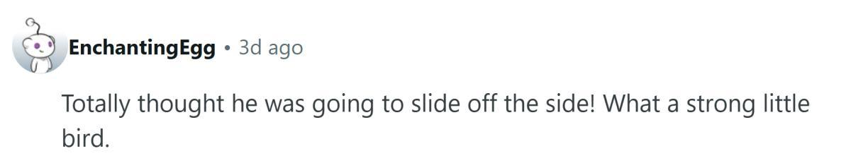 pn/feeb f e a decbcb