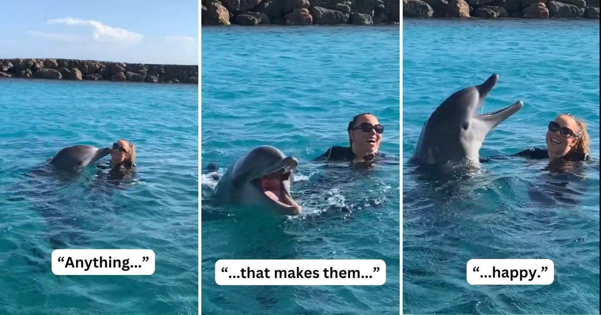 A playful dolphin with Mariah Carey (Cover Image Source: TikTok | @mariahcarey)