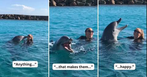 A playful dolphin with Mariah Carey (Cover Image Source: TikTok | @mariahcarey)