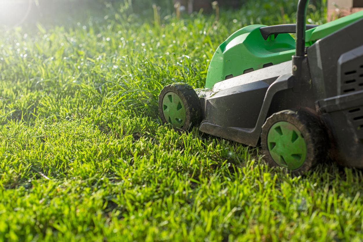 Ground view of a mower on a lawn