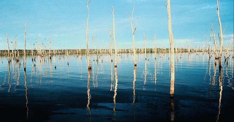 how-does-acid-rain-affect-the-environment-what-we-know