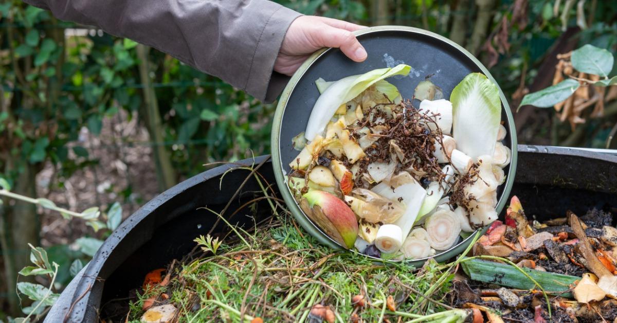 Someone keeps stealing my compost and I have no idea why they want my  rotting food