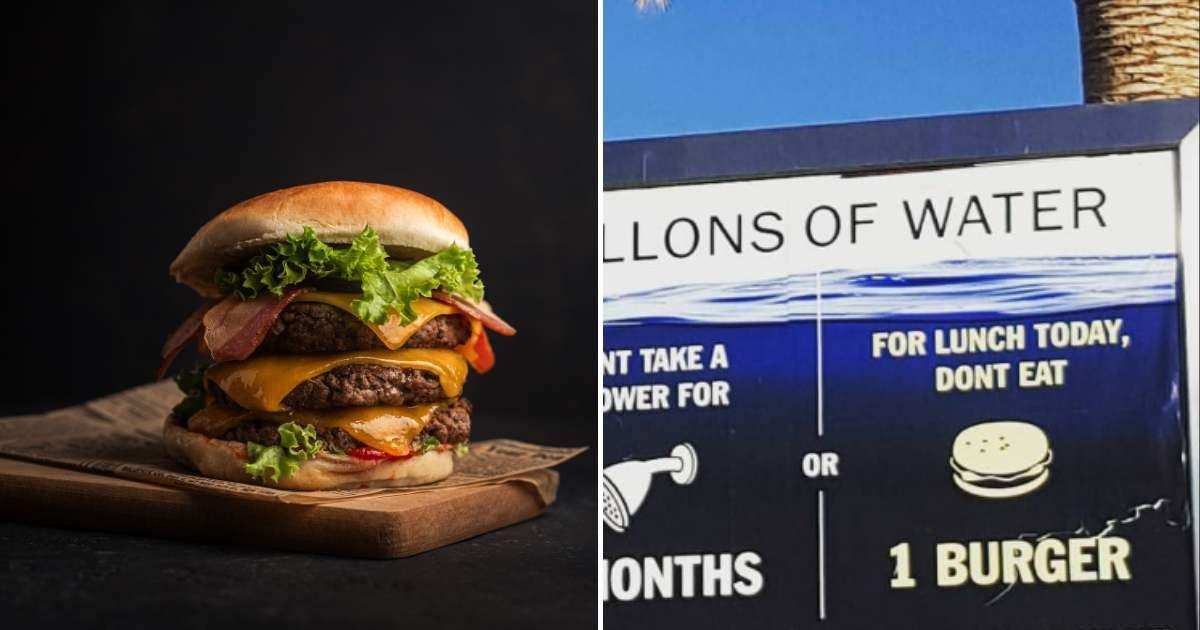 (L) A hamburger with cheese, lettuce and bacon. (Representative Cover Image Source: Getty Images | Anne Del Soccorro) (R) The billboard spreading awareness on plant-based diet. (Cover Image Source: Facebook | Kathy Freston) 