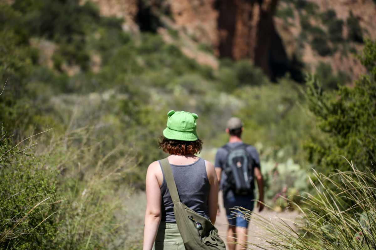 pn/ffc  dc cb bcabdcb