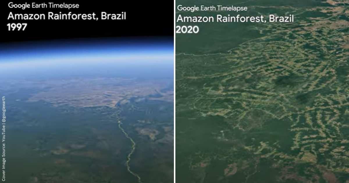 Google Earth shares a timelapse video of the Amazon rainforest over 40 years. (Cover Image Source: YouTube |@googleearth)