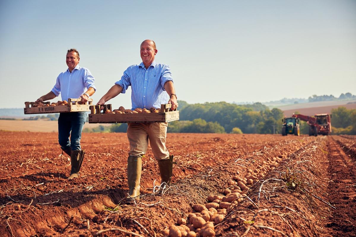 Brothers carrying flats of potatoes for their crisps