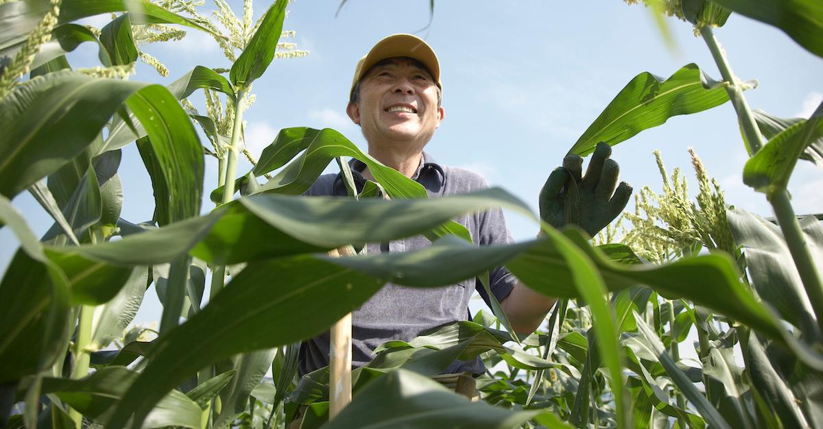 Agriculture Climate Change