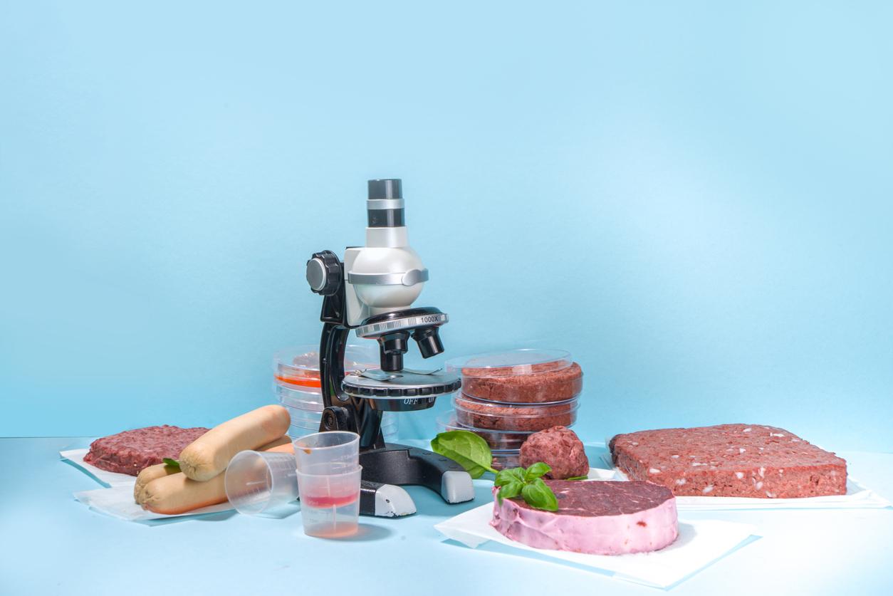 Lab-grown meat next to lab equipment