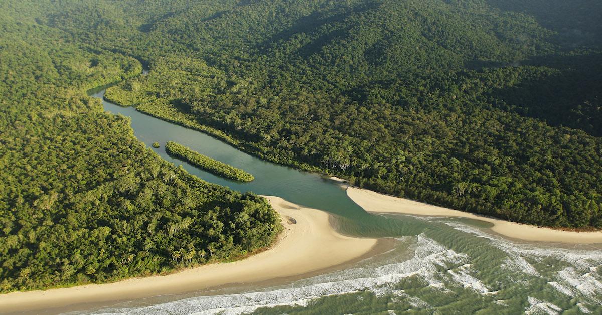 Daintree Indigenous Owners