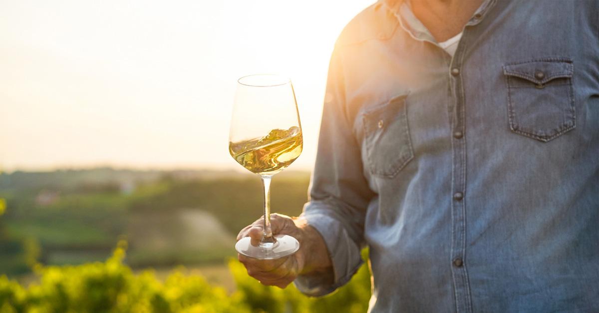 biodynamic wine in a glass, held by a man in the vineyard