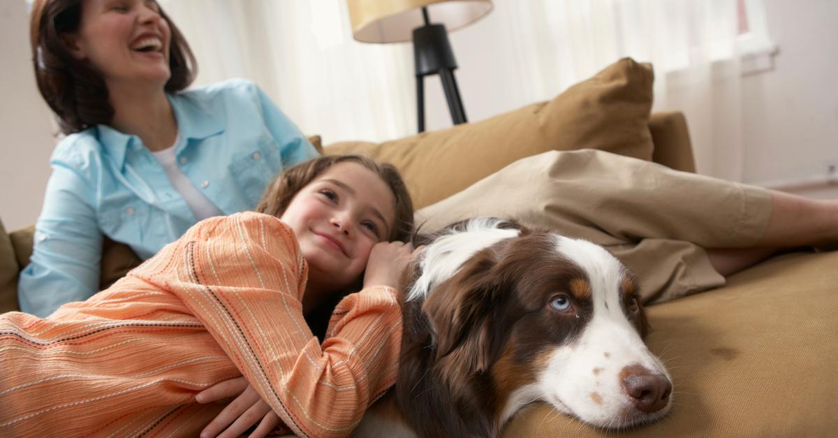 A mother and daughter cuddle with a dog on a couch