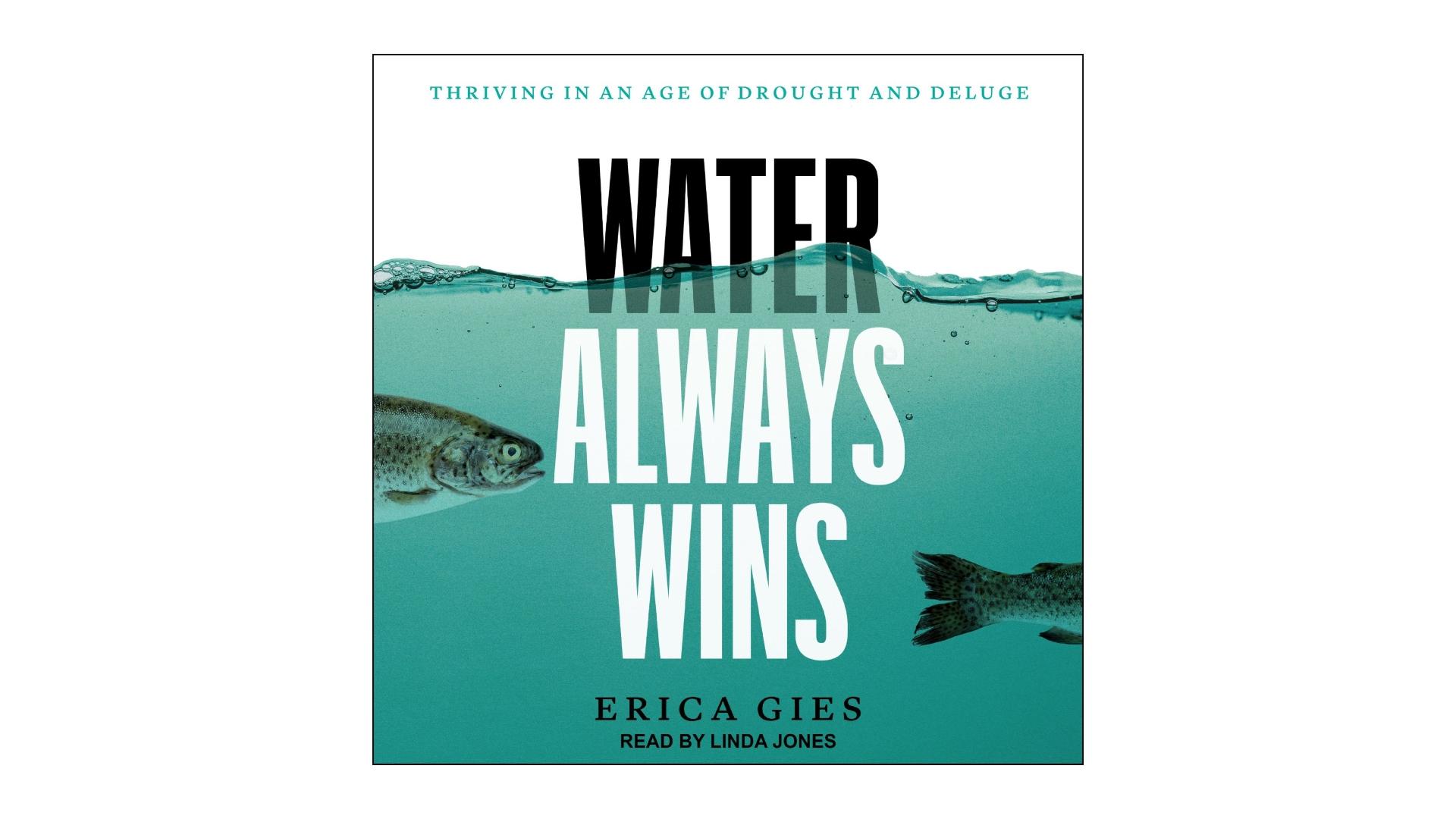 The cover of Water always Wins by Erica Gies.