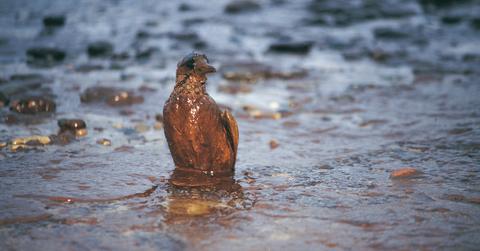 Pipeline New Orleans