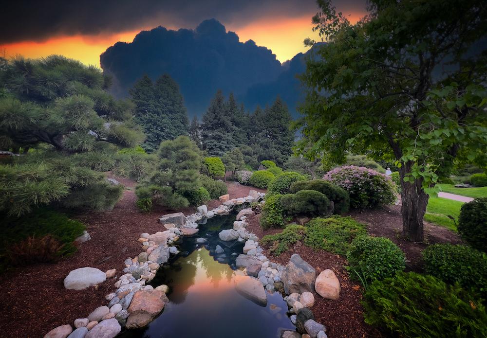 Yard with water feature surrounded by trees and rocks. 