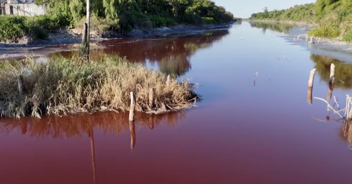 Close-up footage of the the Sarandí Canal. 