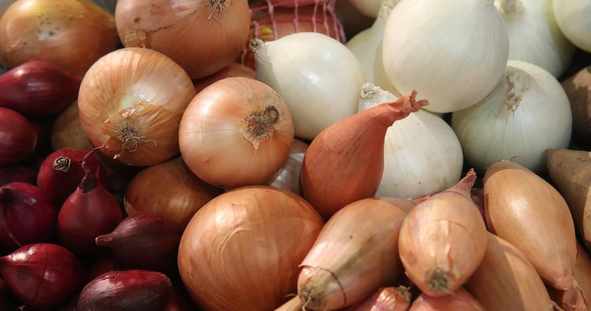 An assortment of onion varieties