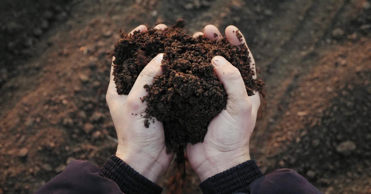 how to use compost as fertilizer