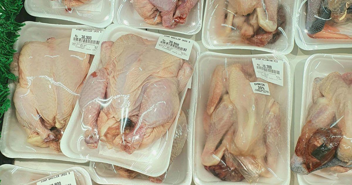 pn/beb fe e bfa ceddffc