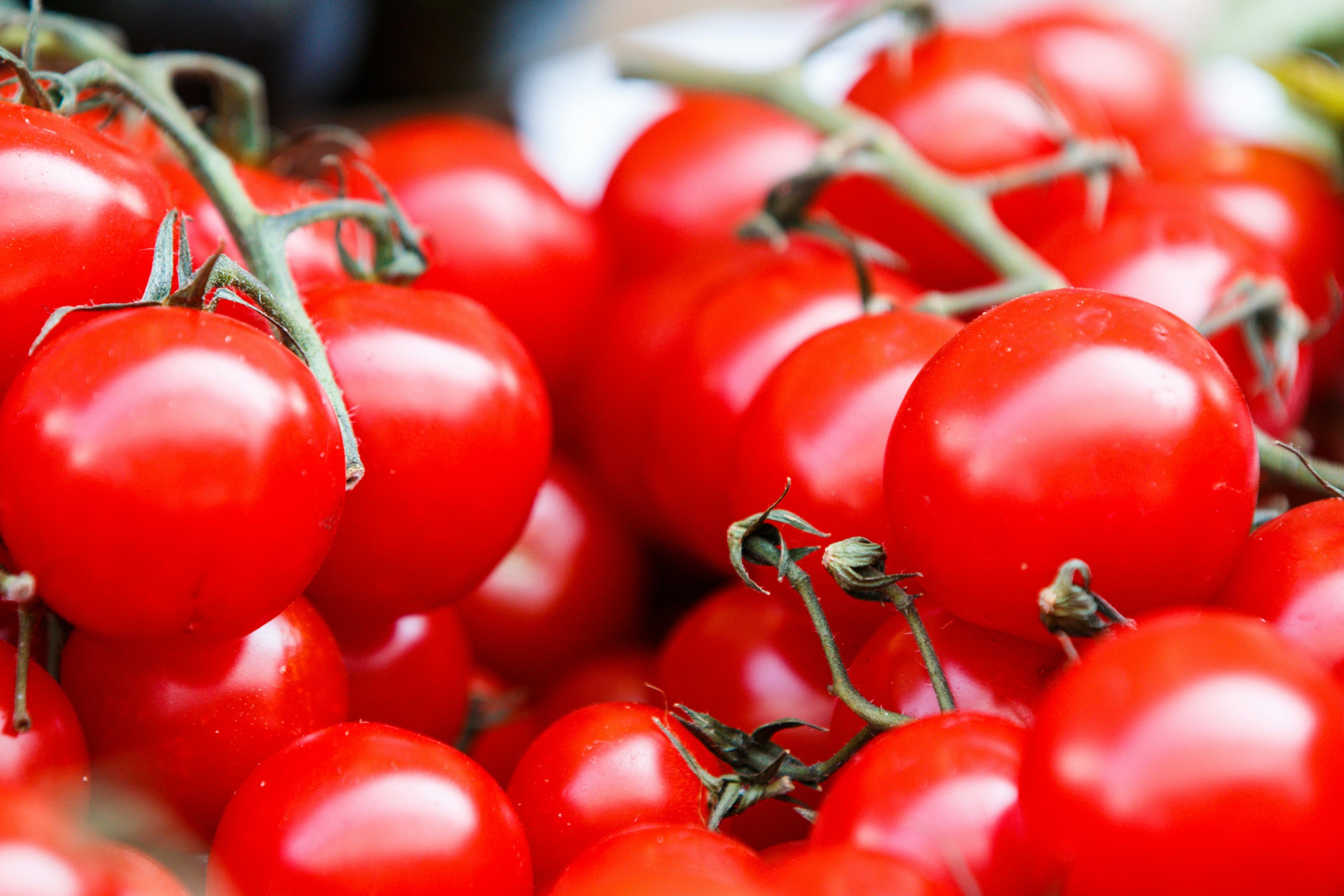 Bright red tomatoes appear on a vine.