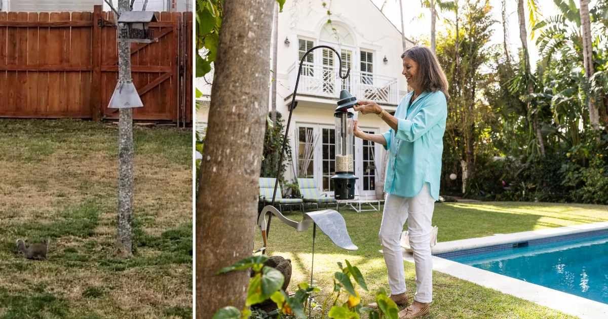 (L) A dog's cone of shame tied around a bird feeder (Cover Image Source: Reddit | u/PalPubPull) | (R) A woman filling up a bird feeder in her backyard. (Representative Cover Image Source: Getty Images | The Good Brigade)
