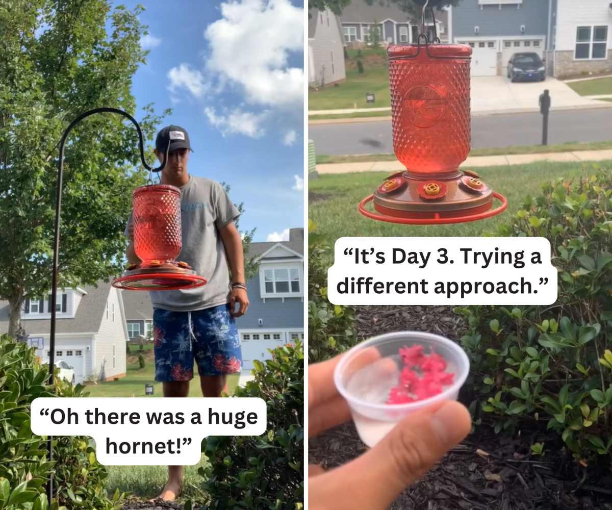 pn/fd c fb b caedbae