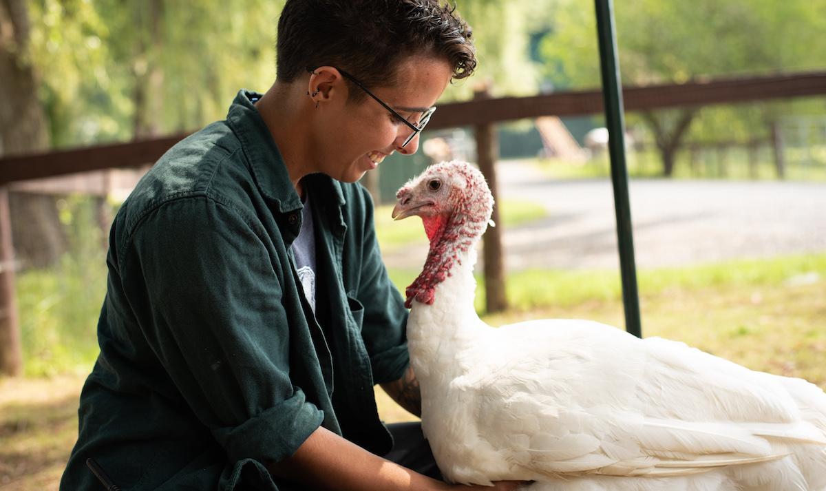 Catskill Animal Sanctuary turkey