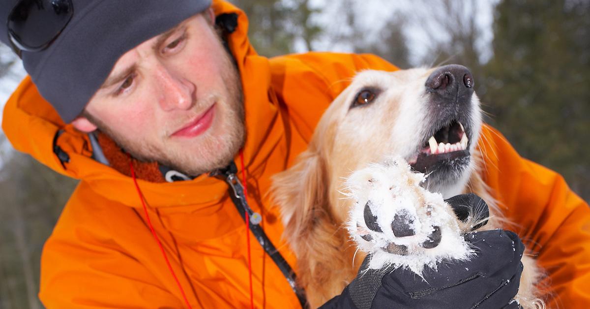 Why do dogs paws smell like Fritos?