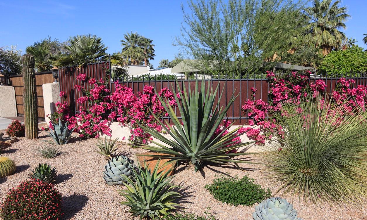 Gardening Without Water How to Garden During a Drought