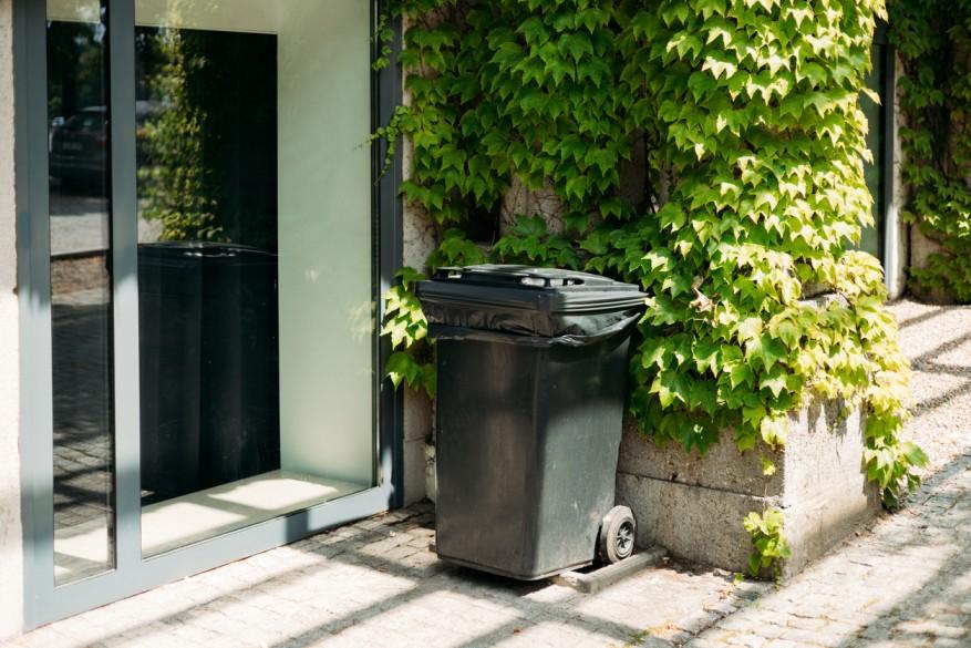 A dark green compost bin is pictured against a concrete wall covered in green plants.