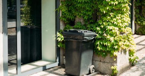 Can You Flush Paper Towels? How to Dispose of Them Safely