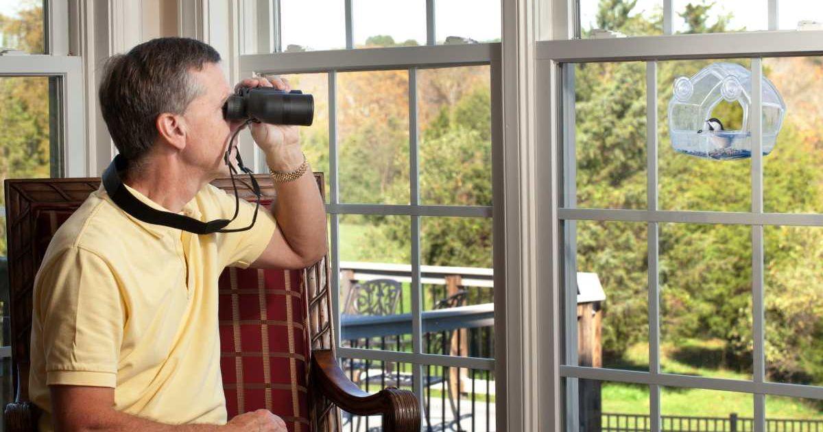 Senior man watching chickadee bird on birdfeeder through binoculars from chair (Representative Cover Image Source: Getty Images | Backyard Production)