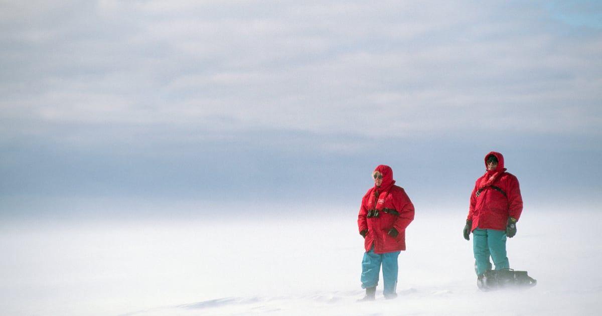 Two scientists are looking over the vast expanse of Antarctica's icy landscape. (Representative Cover Image Source: Getty Images | Galen Rowell)