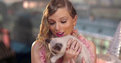 Taylor Swift With a Cat