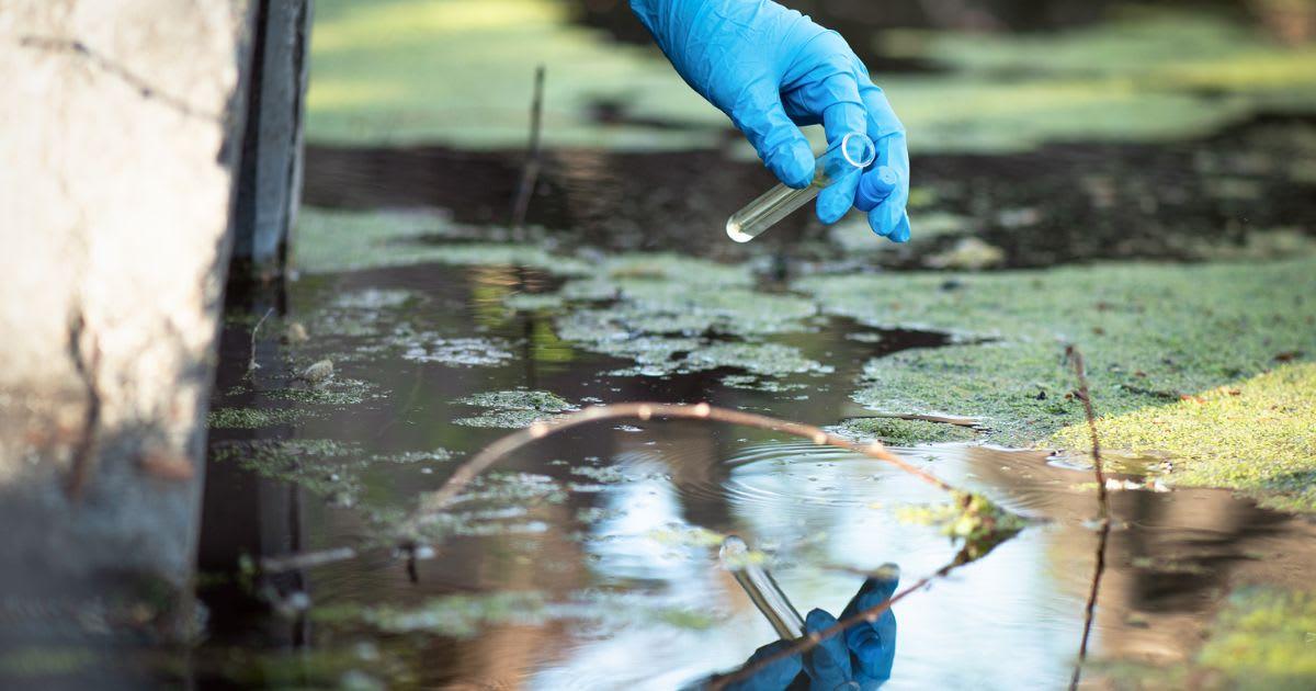 pn/bdeb e c baa abcfba