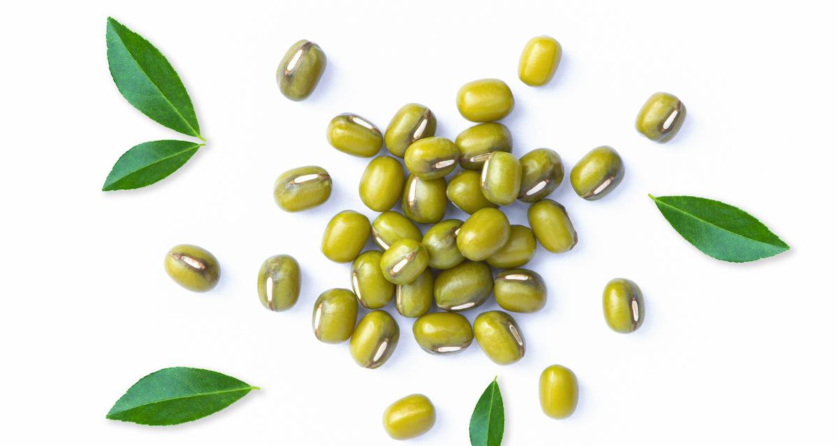 Mung Bean