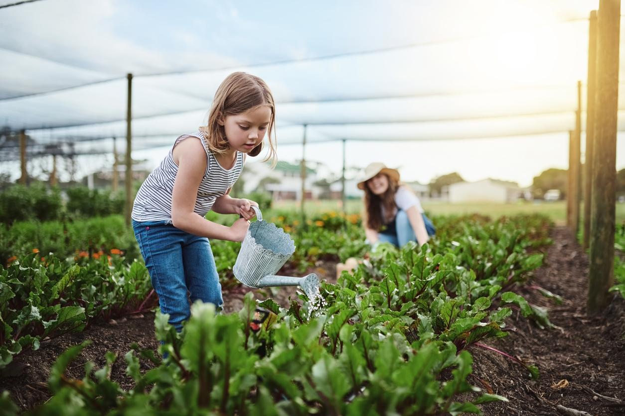 Gardening Without Raised Beds