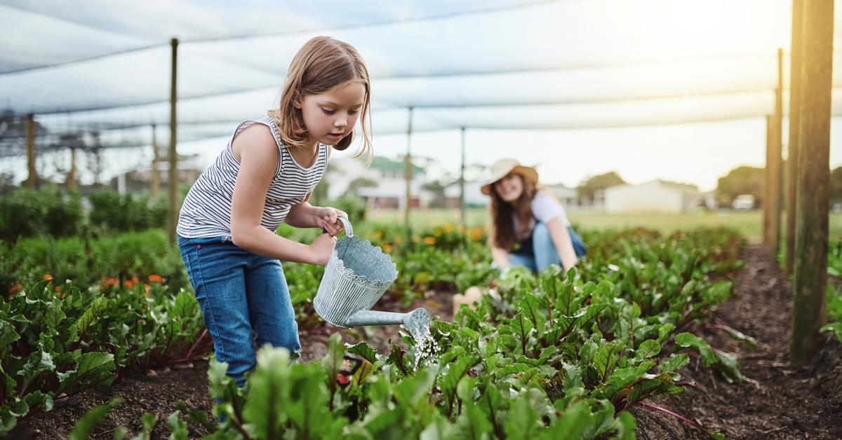 Your Simple Guide to Gardening Without Raised Beds