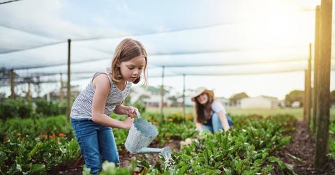 Gardening Without Raised Beds