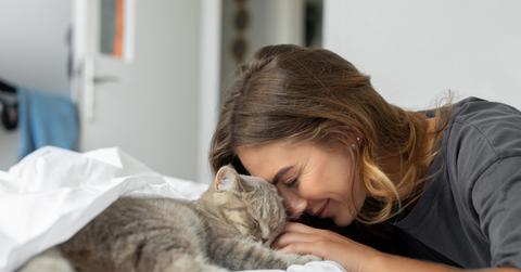 A woman smiles while pressing her head against a cat with its eyes closed in bed.