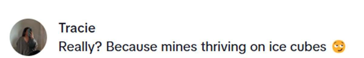 pn/fa aaed ee bac becdeed