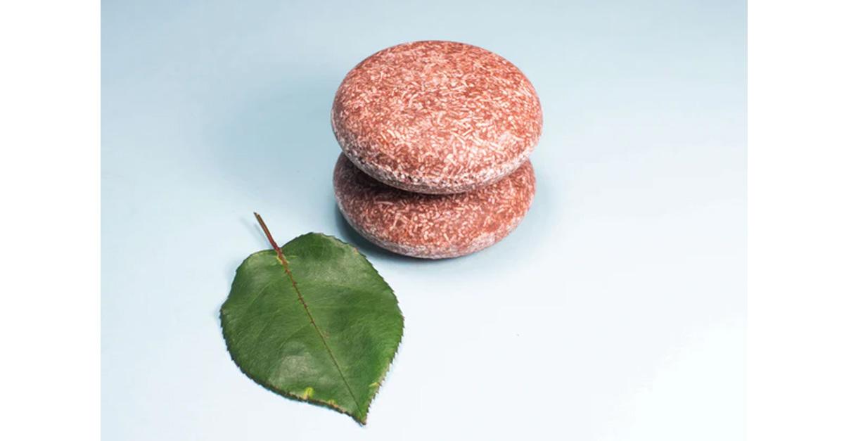 Two brown shampoo bars with a leaf besid it