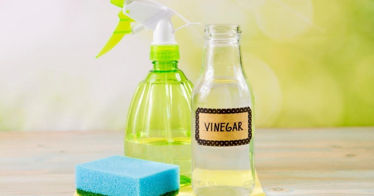 cleaning vingear vs white vinegar