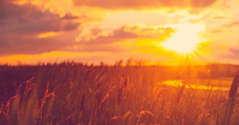 A yellow-hued image of the sun rising over a field