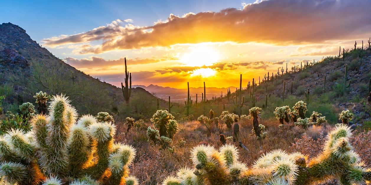 Bell Pass trail in the Sonoran Desert at sunset in Scottsdale, Arizona