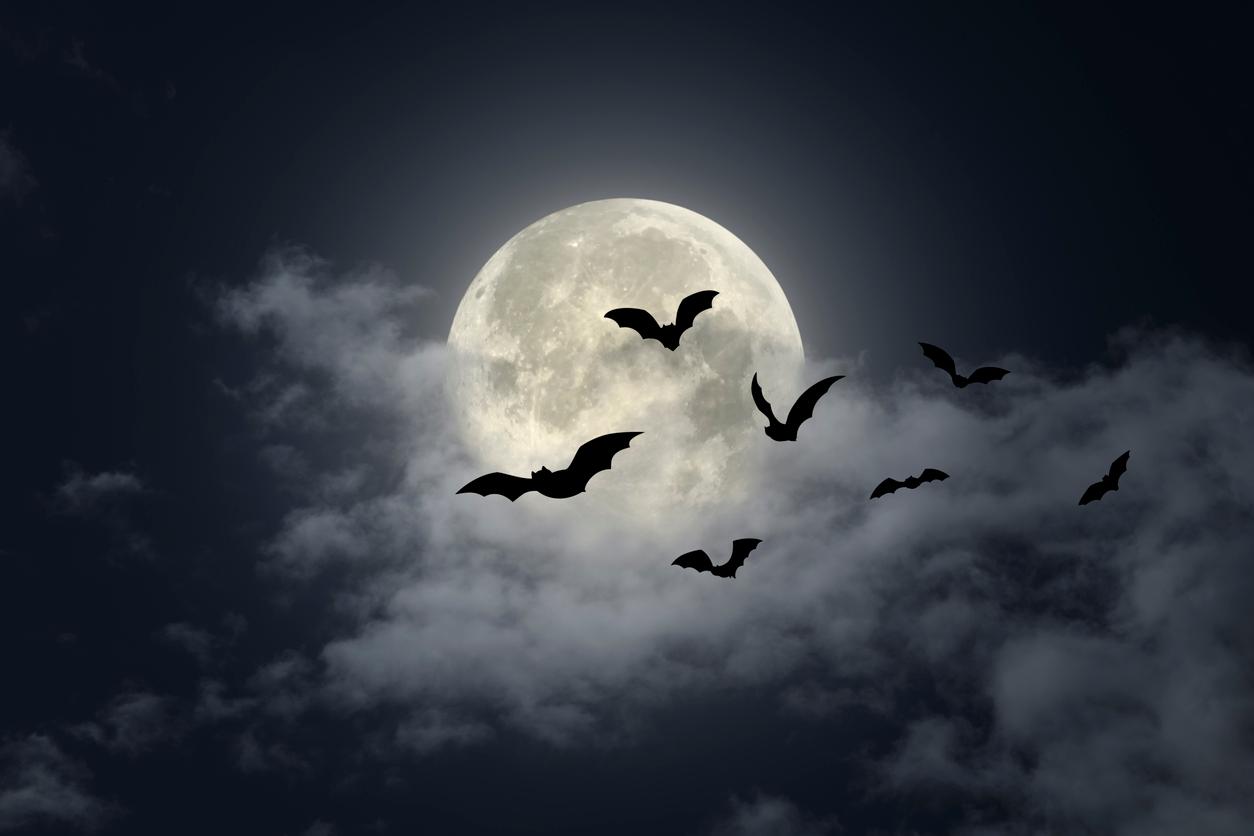 Seven bats are seen flying in a dark sky with ominous clouds against a bright full moon.