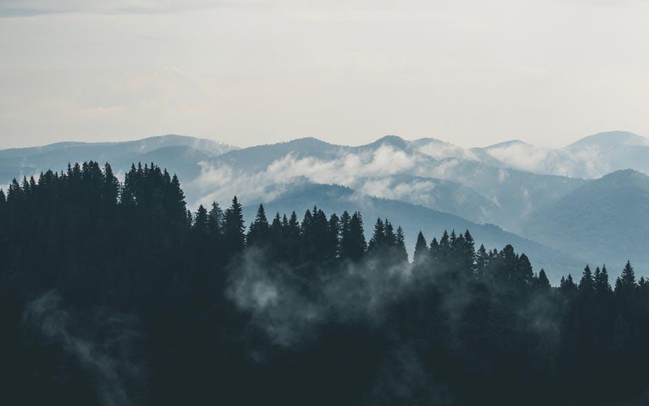 mountains clouds forest fog