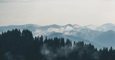 mountains clouds forest fog